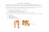 How to Diagnose Your Sciatica - The Pain Free Institute