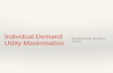 Individual Demand: Utility Maximisation