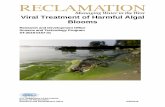 Viral Treatment of Harmful Algal Blooms