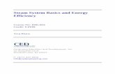 Steam System Basics and Energy Efficiency