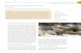 Bird conservation in the Alpilles, Southern France