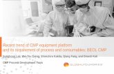 Recent trend of CMP equipment platform and its requirement ...
