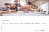 SAP IQ Installation and Update Guide [IBM AIX]