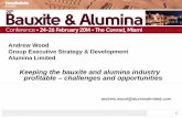 Andrew Wood Group Executive Strategy ... - Alumina Limited