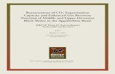 Reassessment of CO2 Sequestration Capacity and Enhanced ...