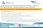 Addressing Unwarranted Clinical Variation Stroke The NSW ...