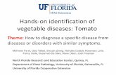 Hands-on identification of vegetable diseases: Tomato