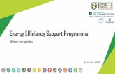 Energy Efficiency Support Programme