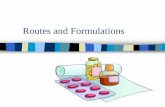Routes and Formulations - Weebly