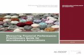 Measuring Financial Performance: Practitioners Guide for ...