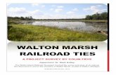 walton marsh NAS - nasnmc.com