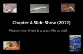 Chapter 4 Slide Show (2012) - HCC Learning Web