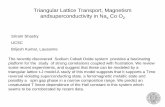 Triangular Lattice Transport, Magnetism ...