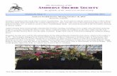 The Newsletter of the Amherst Orchid Society