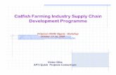 Catfish Farming Industry Supply Chain Development Programme