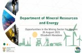 Opportunities in the Mining Sector for Women 26 August ...