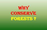 WHY CONSERVE FORESTS