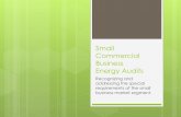 Small Commercial Business Energy Audits