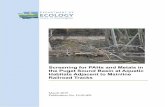 Screening for PAHs and Metals in the Puget Sound Basin at ...