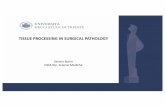 TISSUE PROCESSING IN SURGICAL PATHOLOGY