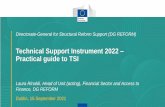Technical Support Instrument 2022 Practical guide to TSI