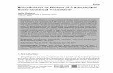 Biorefineries as Models of a Sustainable Socio-technical ...