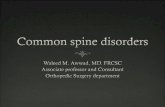 Common spine disorders - KSU