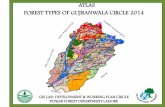 ATLAS FOREST TYPES OF GUJRANWALA CIRCLE 2014