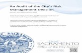 An Audit of the City’s Risk