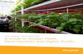 LED GROW LIGHTING 101: A G uide to Greater Yields, More ...