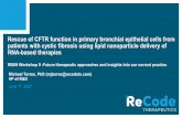 Rescue of CFTR function in primary bronchial epithelial ...