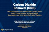 Carbon Dioxide Removal (CDR)