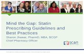 Mind the Gap: Statin Prescribing Guidelines and Best Practices