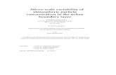 Micro-scale variability of atmospheric particle ...