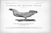 Culling the Poultry Flock - Oregon State University