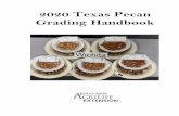 2020 Texas Pecan Grading Handbook