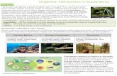 Organism Interactions in Ecosystems - Weebly