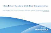 Data Driven Woodford Shale Risk Characterization