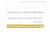 New Directions in Statistical Graph Mining