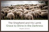 The Shepherd and His Lamb Grace to Shine in the Darkness