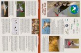 Long Point Birding Trail - birdscanada.b-cdn.net
