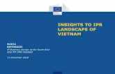 INSIGHTS TO IPR LANDSCAPE OF VIETNAM