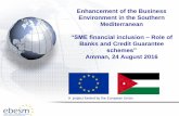 “SME financial inclusion – Role of Banks and Credit Guarantee