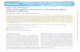 REVIEW ARTICLE The microglial component of amyotrophic ...