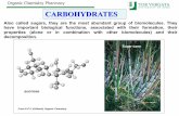 CARBOHYDRATES - Homepage | DidatticaWEB