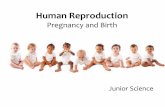 Human Reproduction - Weebly