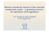 Human resources issues in the uranium production cycle – a ...