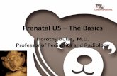 Prenatal US The Basics - pedrad