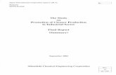 The Study on Promotion of Cleaner Production in Industrial ...