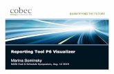 Reporting Tool P6 Visualizer